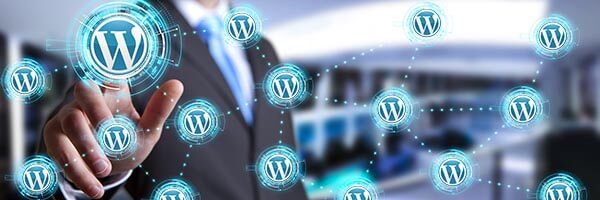 Wordpress Specialists